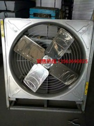 四叶牛舍羞羞视频APP苹果下载
